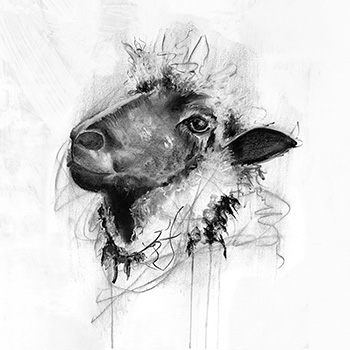 Sarah Boddy Thumbnail