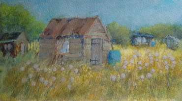 Allotments, 1 by Terry Whittaker