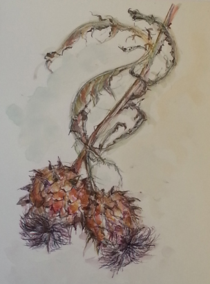 Thumbnail image of Cardoon 1 by Toni Northcott