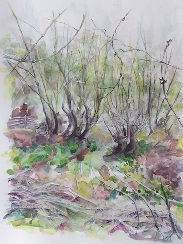 Thumbnail image of Overgrown Fishponds by Toni Northcott