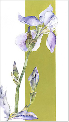 Thumbnail image of Iris 1 by Vivienne Cawson