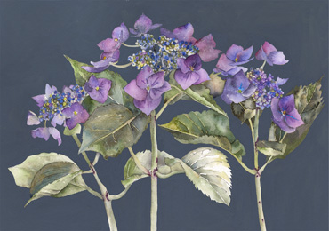 Thumbnail image of Three in a Row by Vivienne Cawson