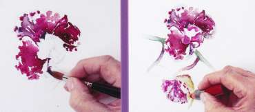 Thumbnail image of Vivienne Cawson, 'The Kew Book of Painting Orchids in Watercolour' - Vivienne Cawson - The Kew Book of Painting Flowers in Watercolour is published in January 2020